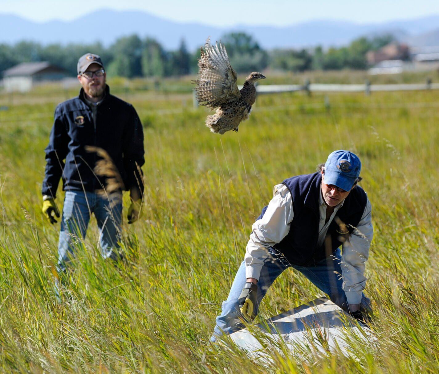 Montana Fish, Wildlife and Parks biologist Adam Grove